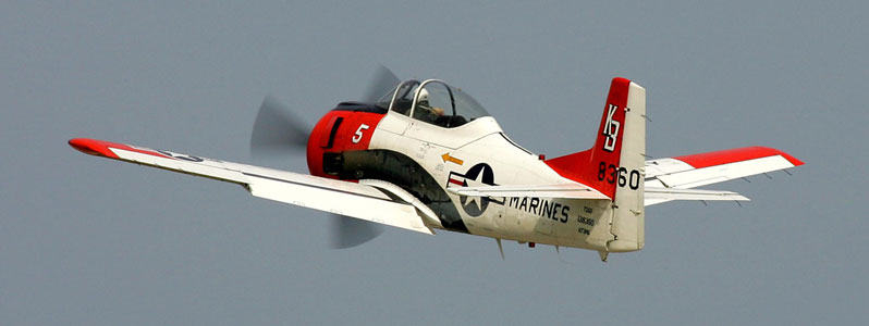 t28_f_01